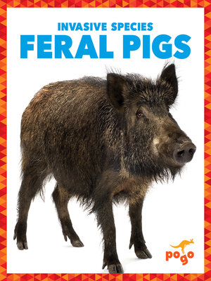 cover image of Feral Pigs
